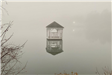 Foggy Gazebo
