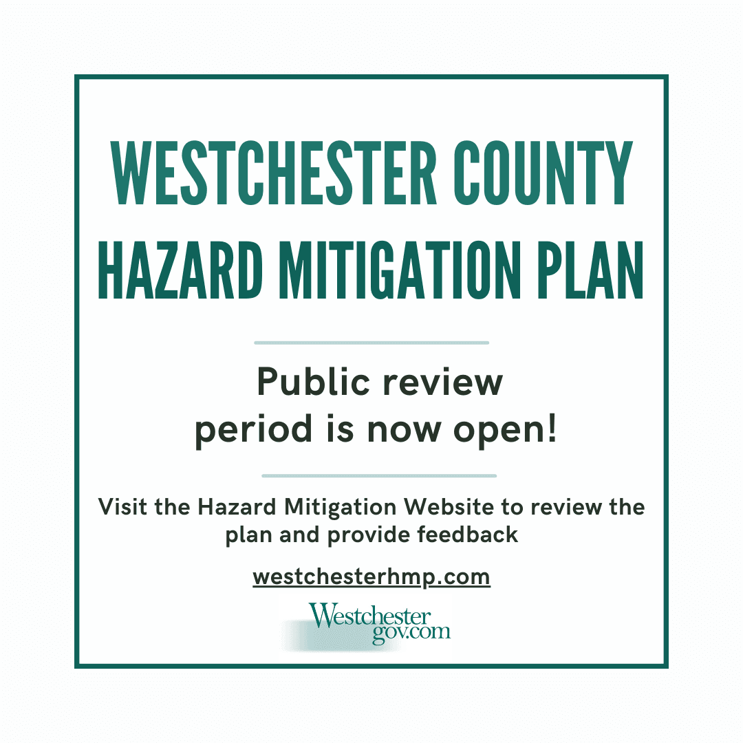 Westchester County Public Review