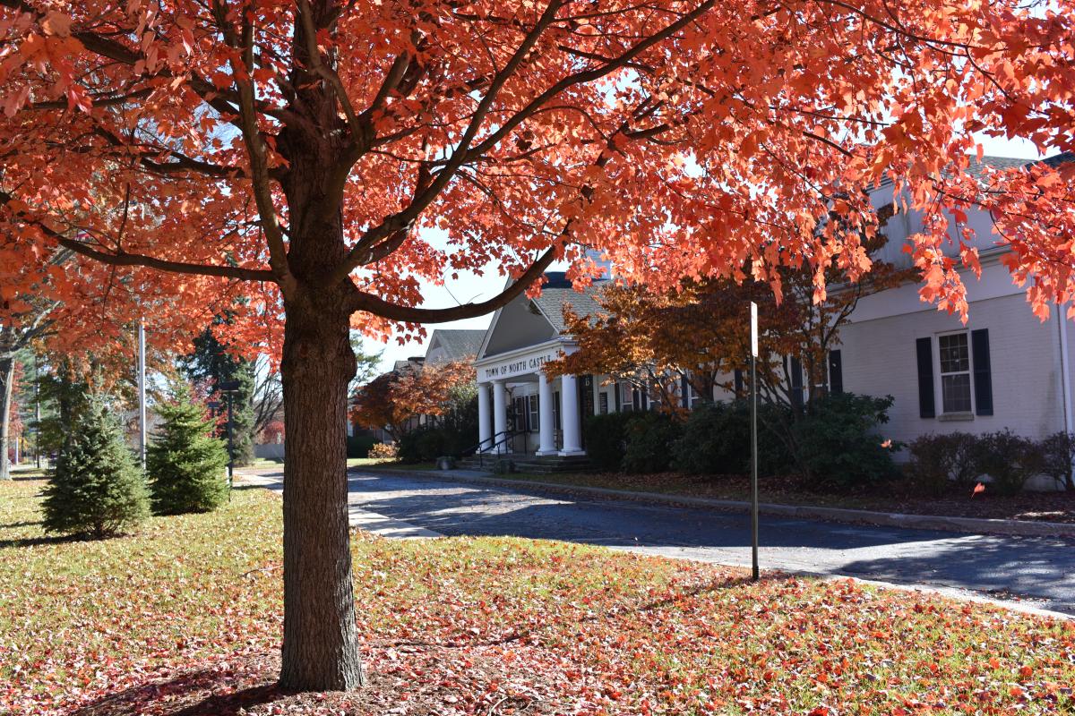 Town Hall in Fall