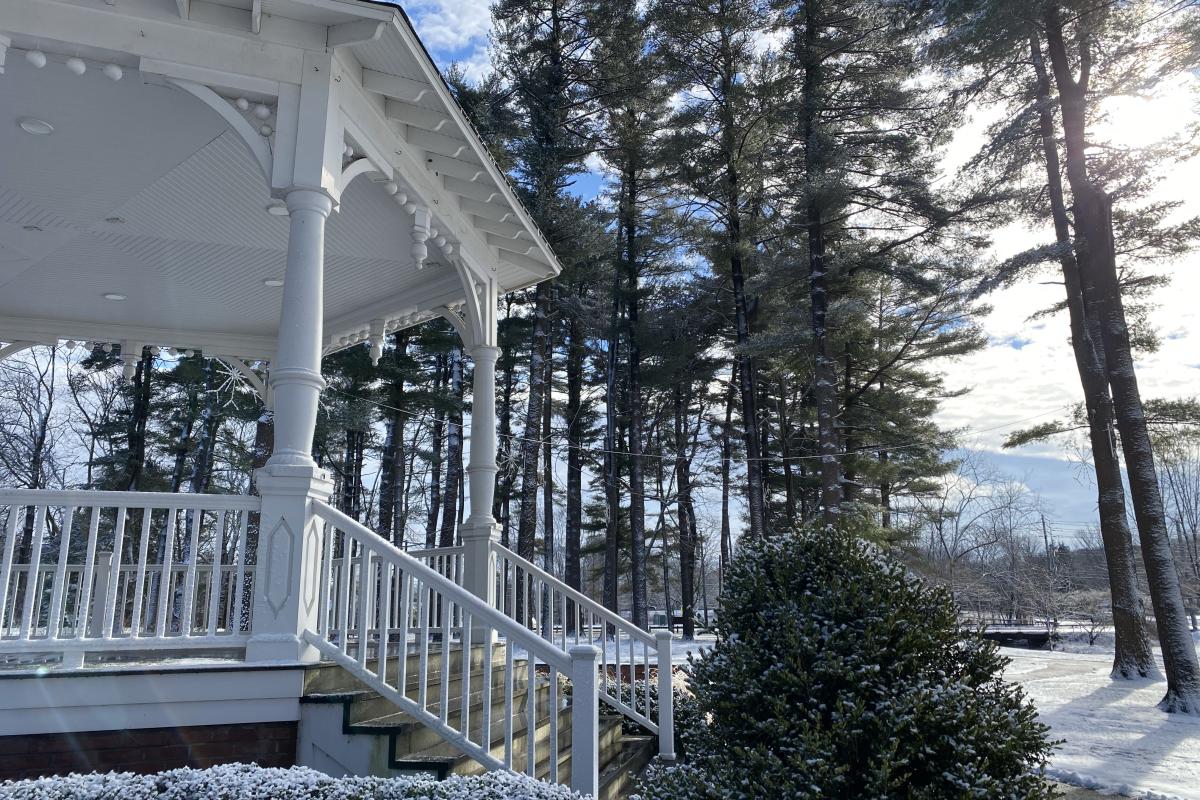 Gazebo Stairs in Snow
