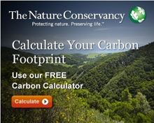 Carbon Footprint Calculator